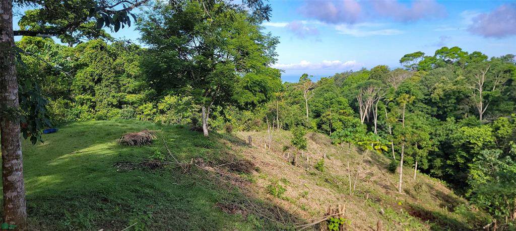  Finca Estrella - Photo 1