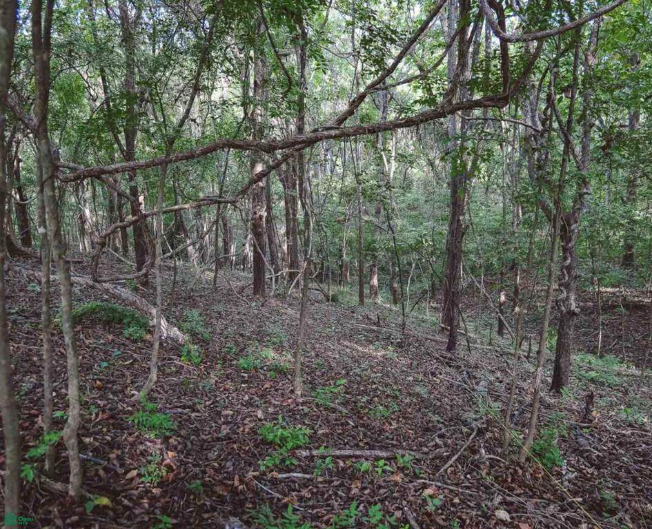  Julia Drive - Photo 1