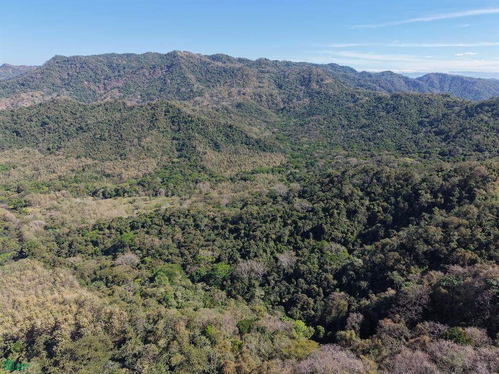  C. La Esperanza - Photo 1