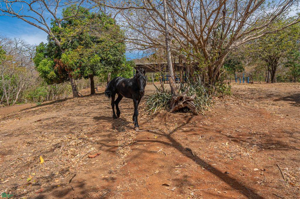  Cerro Grande Estates Road - Photo 1