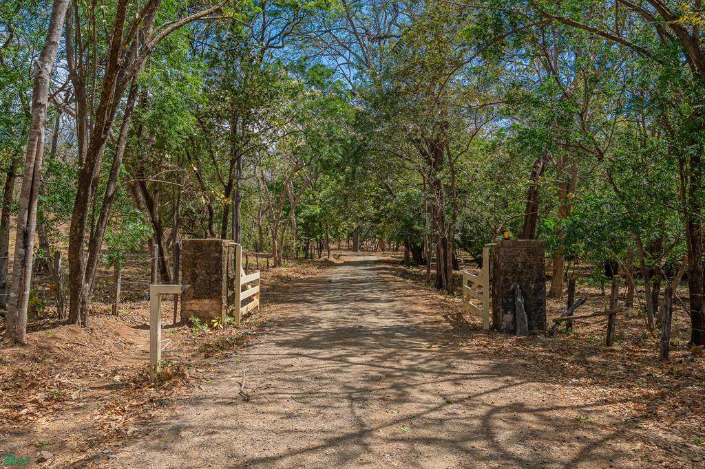  Cerro Grande Estates Road - Photo 1