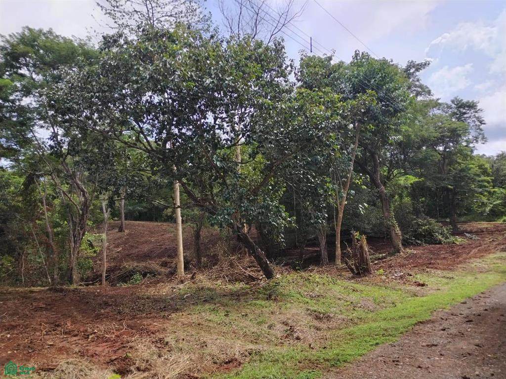  Eco Development - Photo 1