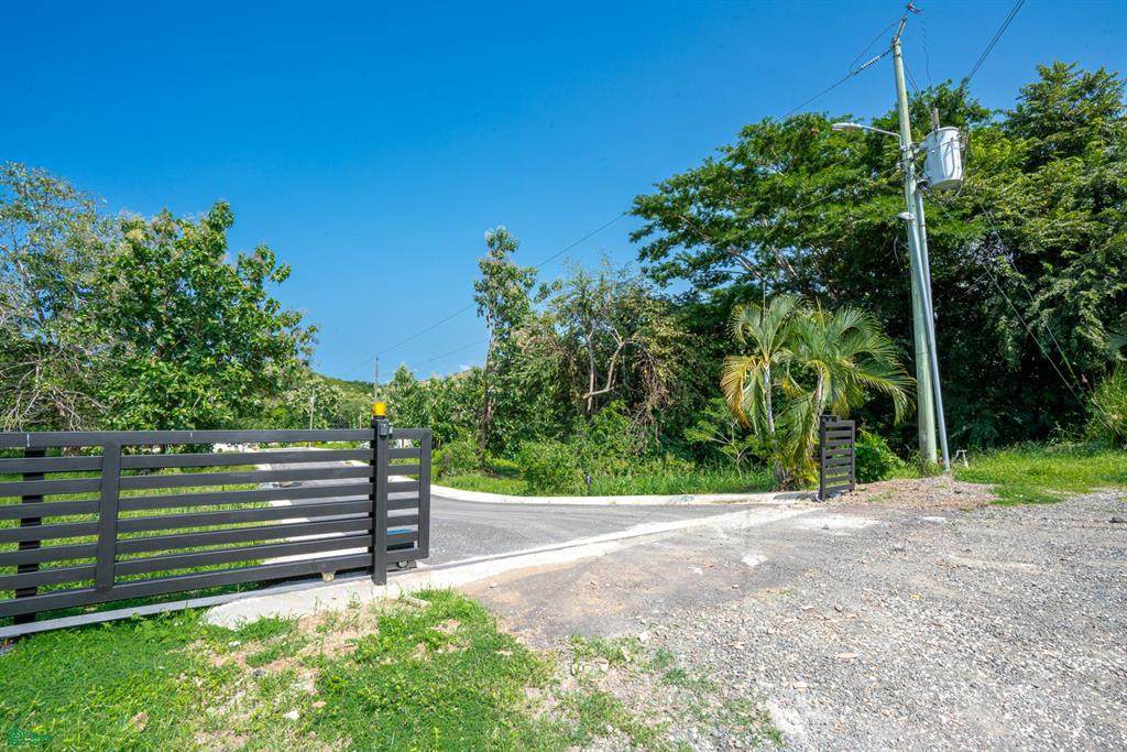 Mango Walk Lots 12 & Double Forest Lots Near Playa Minas - Photo 1