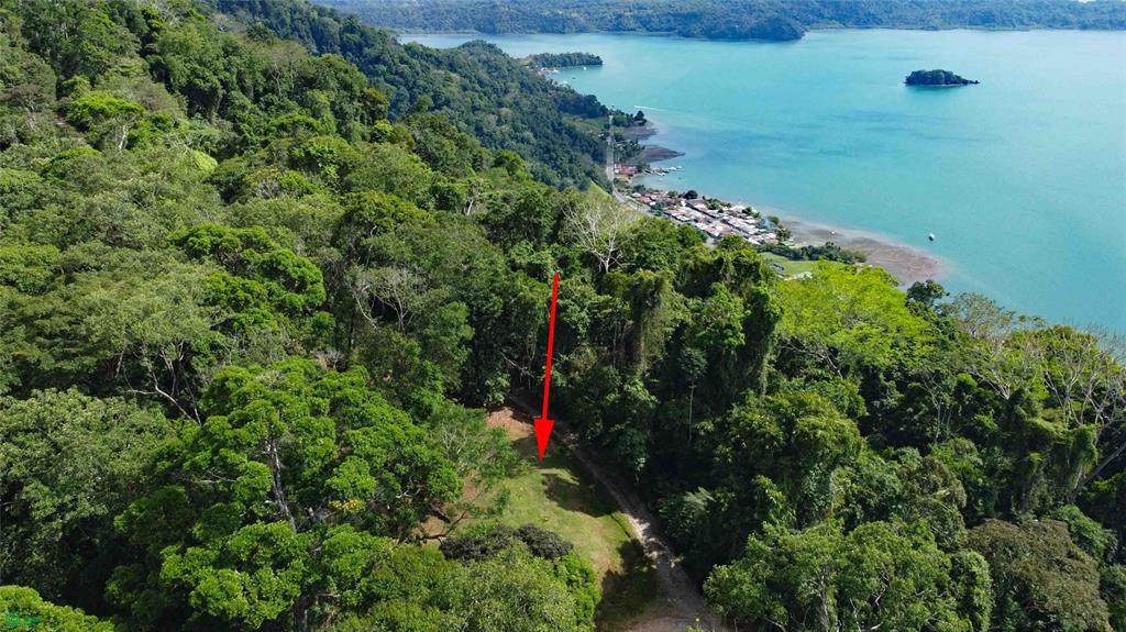  Cerro Adams - Photo 1