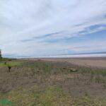  Playa Bandera - Photo 1