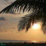  Playa Bandera - Photo 3