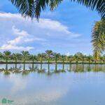  Playa Bandera - Photo 4