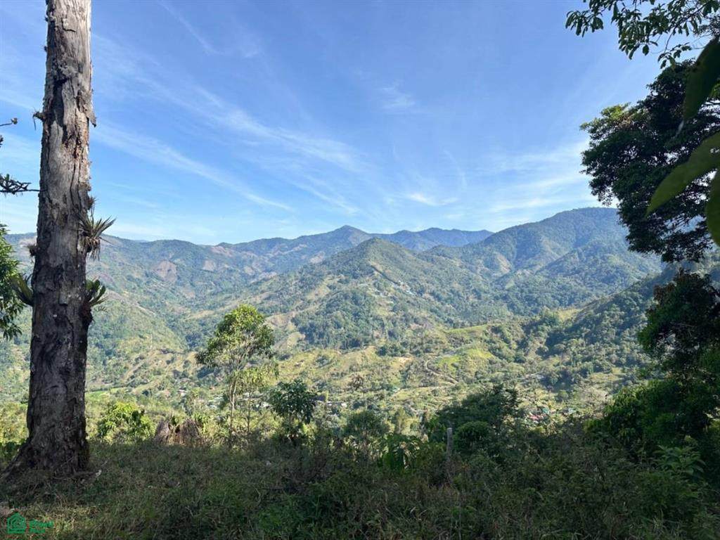  Escondido Lloroso - Photo 1