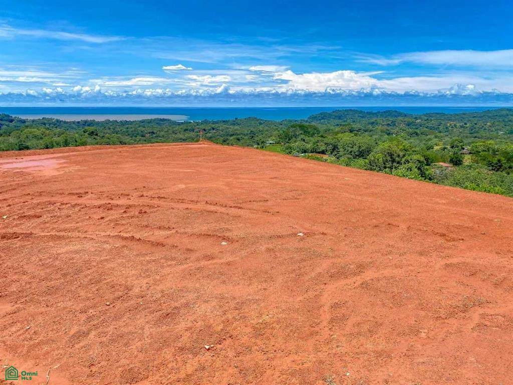  Calle Del Jaquar - Photo 1