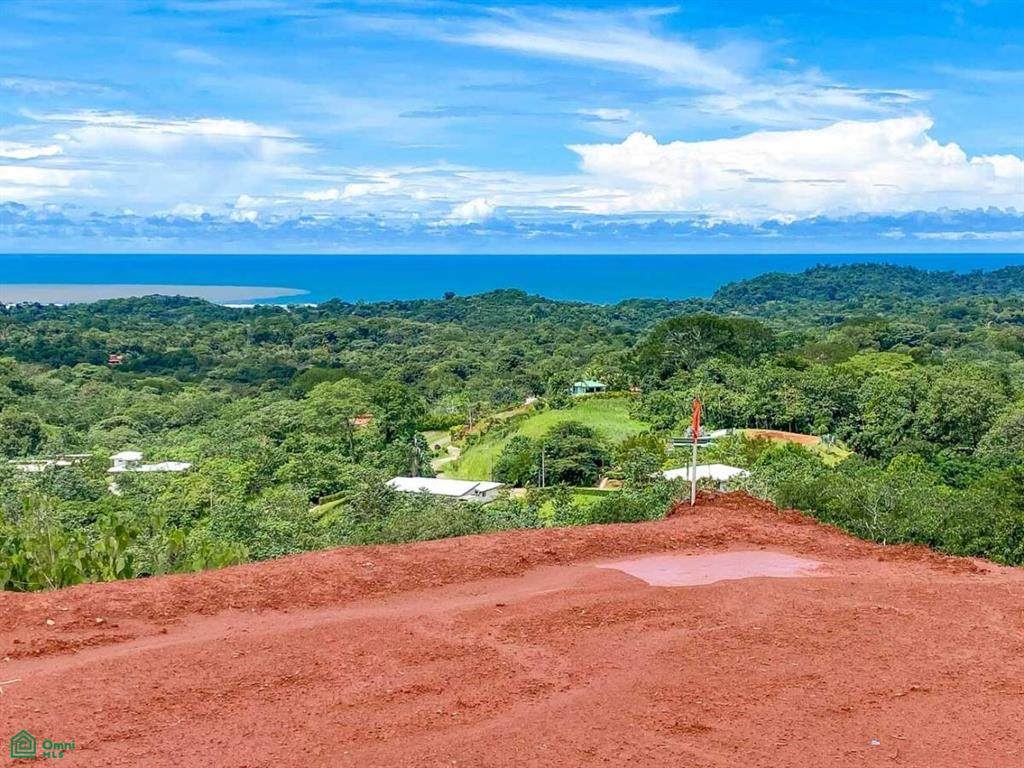  Calle Jaquar - Photo 1