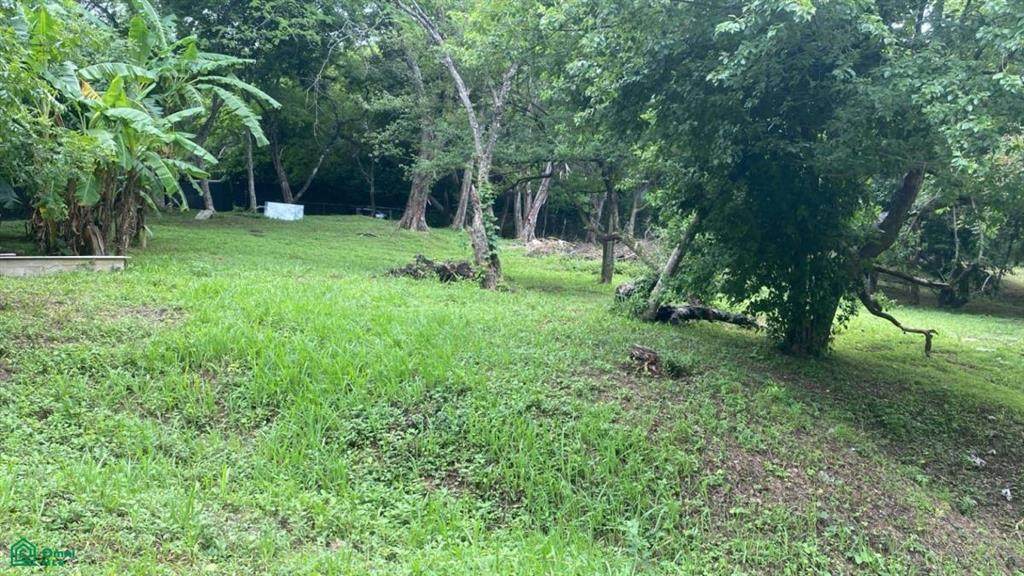  Santa Rosa - Photo 1