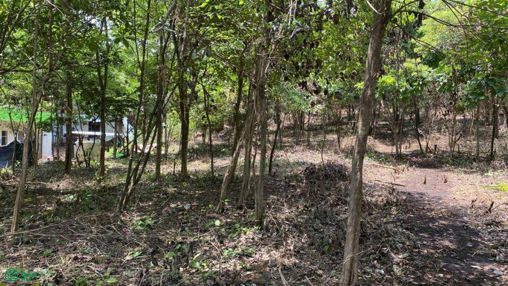  Address Not Published - Photo 1