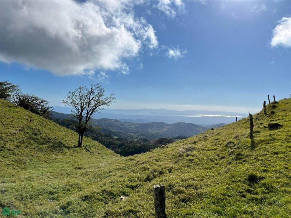 Clover Fields Address Not Published - Photo 1