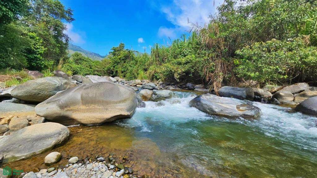  Finca Tierra Negra - Photo 1