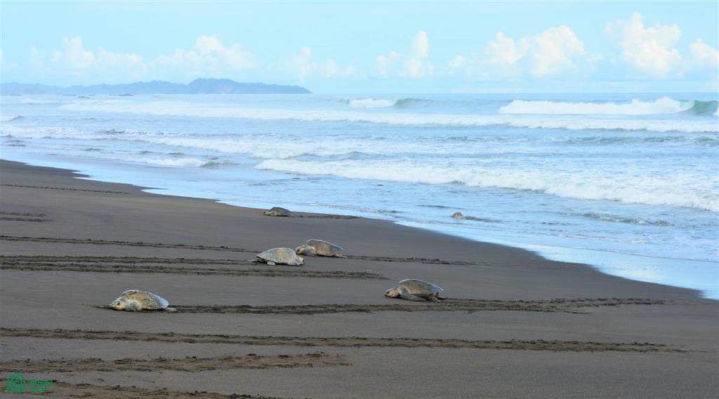  La Reserva Lot 24 - Photo 1