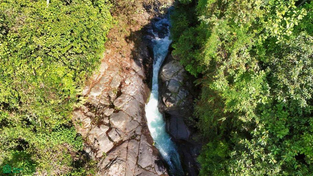  Finca Vida Org&aacute;nica - Photo 1