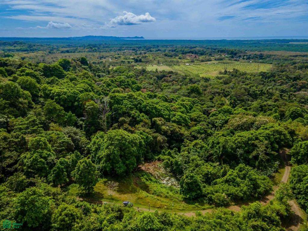  Waterfall Ocean View Gated Community Of Las Palmas - Photo 1