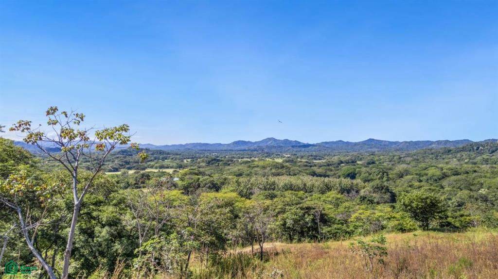  Finca La Caoba - Photo 1