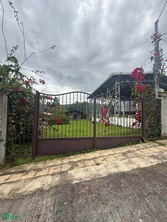  Las Colonias De Guayabo - Photo 1