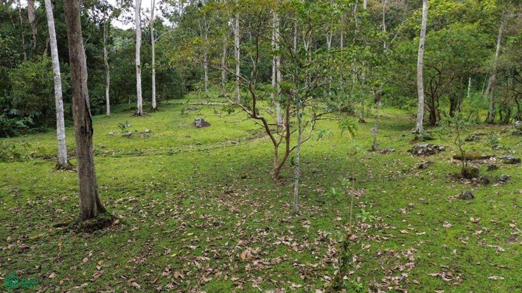  La Dominica - Photo 1