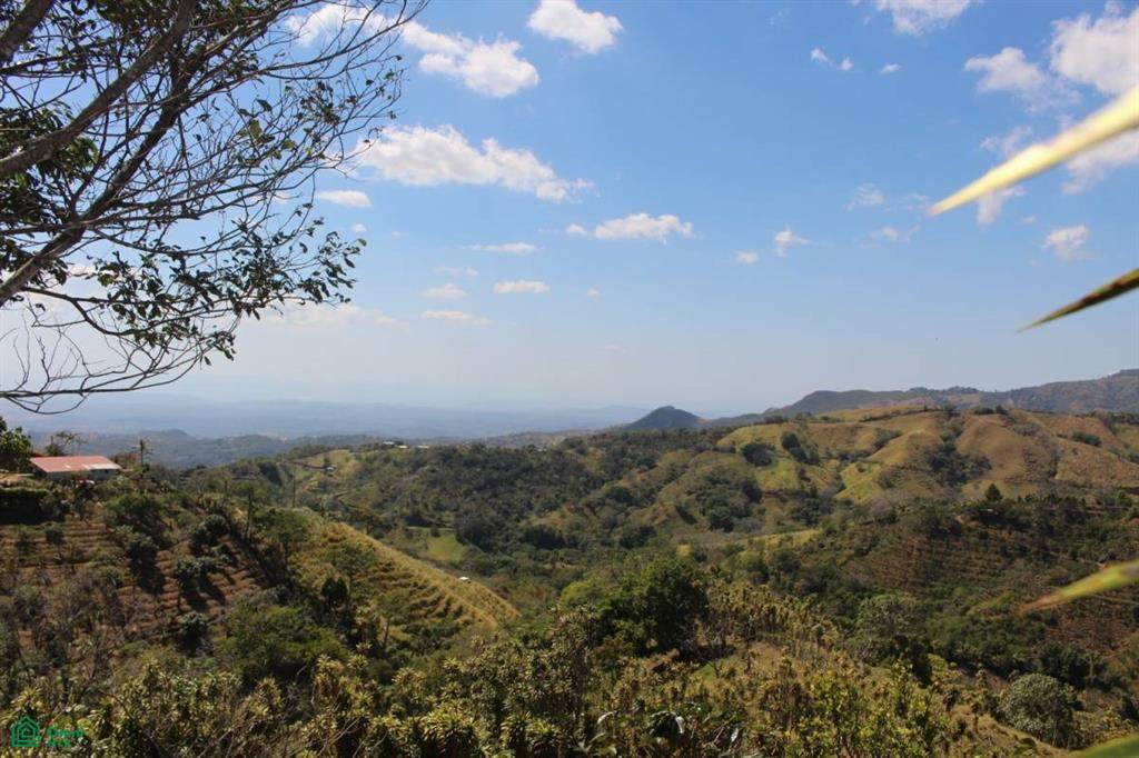  Estanquillos - Photo 1