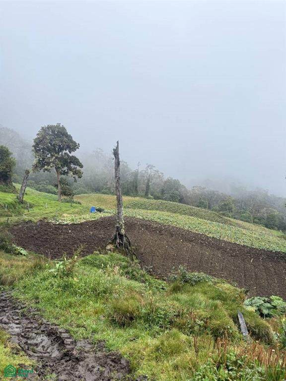  Las Virtudes - Photo 1