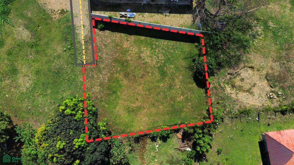 Whale Tail Bahia - Photo 1