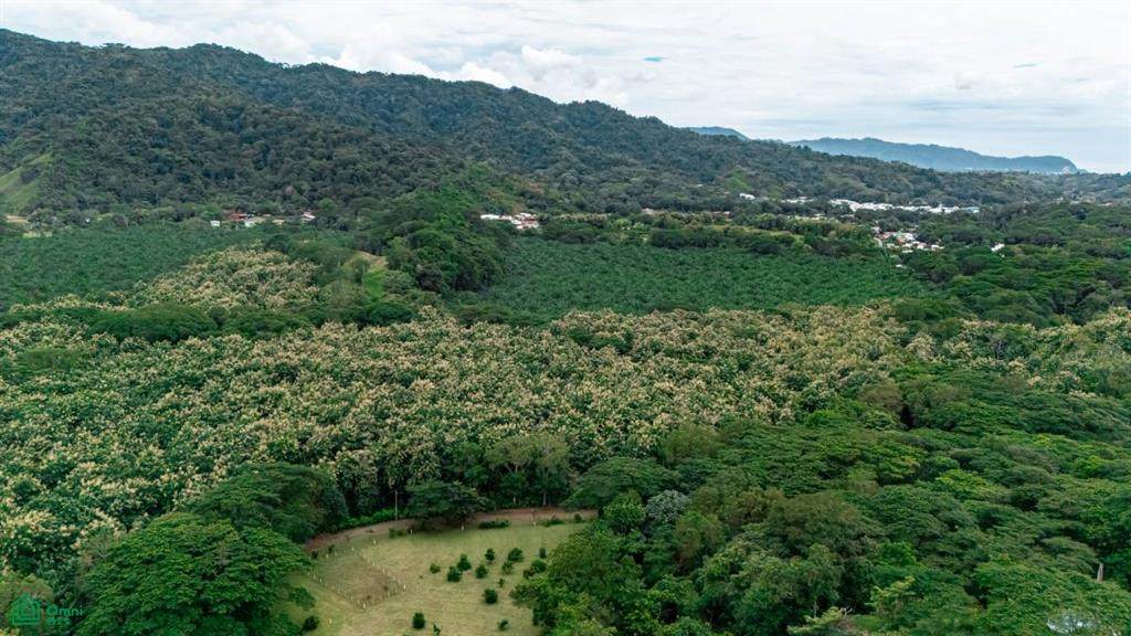 s/n Calle Pipasa - Photo 1