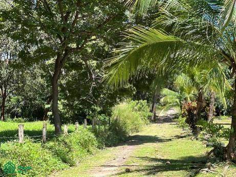  Huaquitas De Pijije. - Photo 1