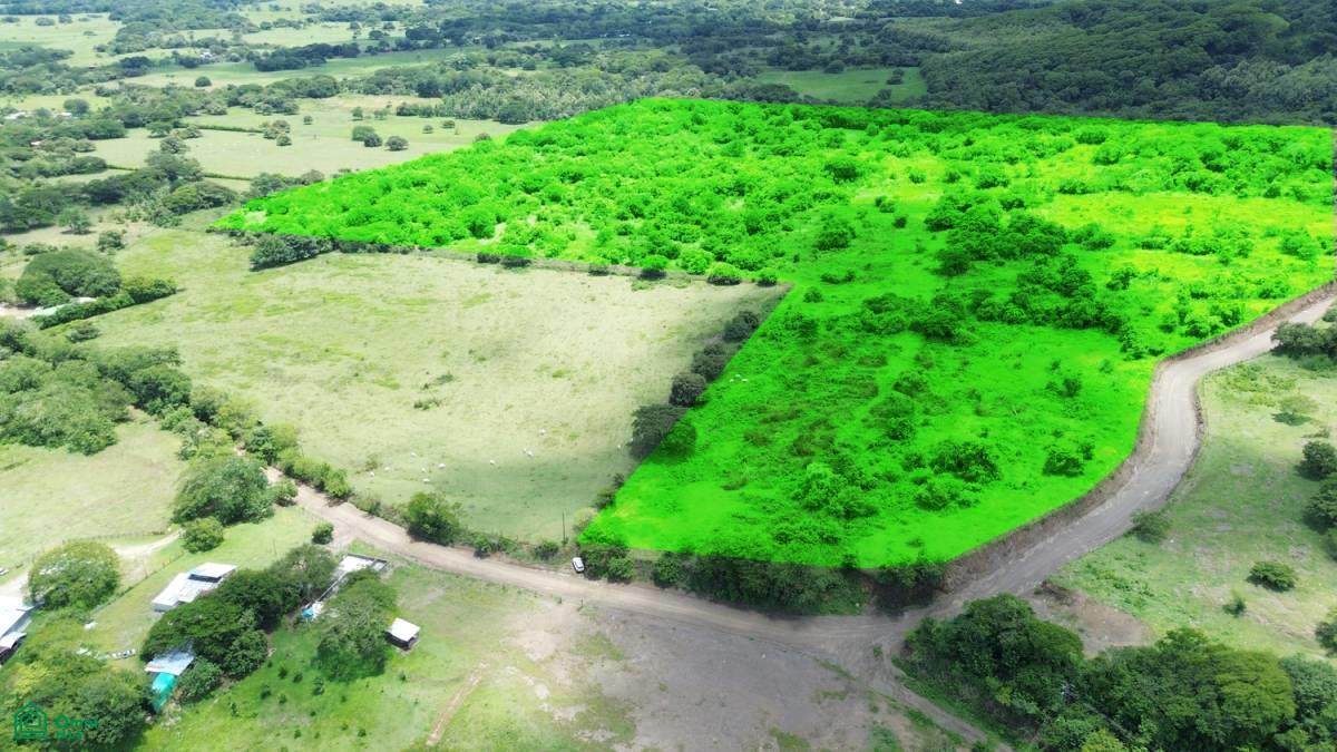  30 Hectare Finca in Santa Cruz - Photo 1