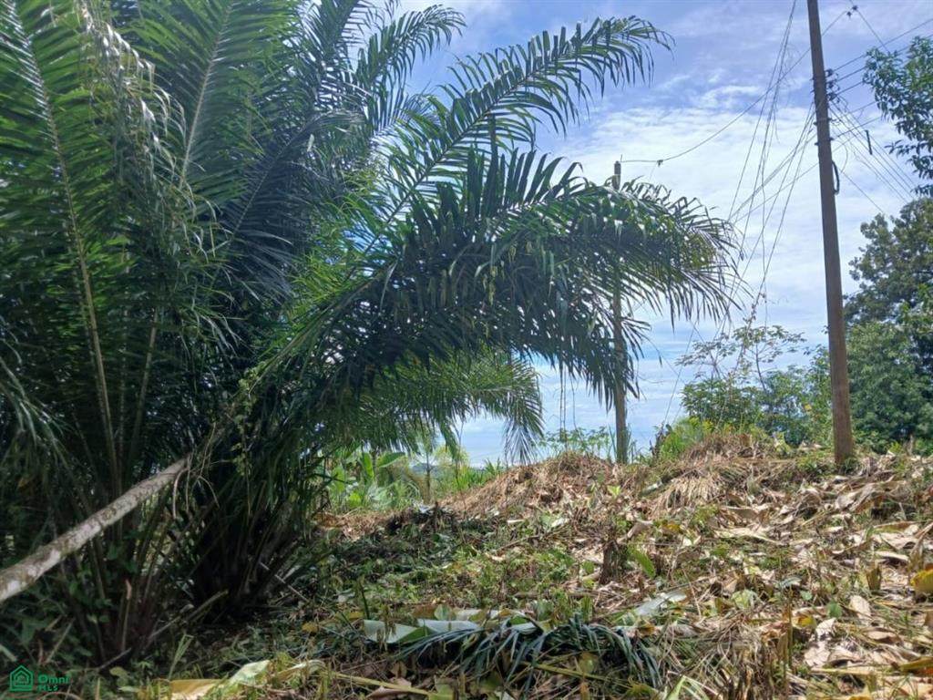 27 Ojochal, Phase 5 - Photo 1