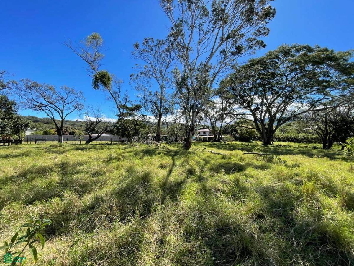 https://bt-photos.global.ssl.fastly.net/omni/orig_boomver_3_CR251027879-2.jpg