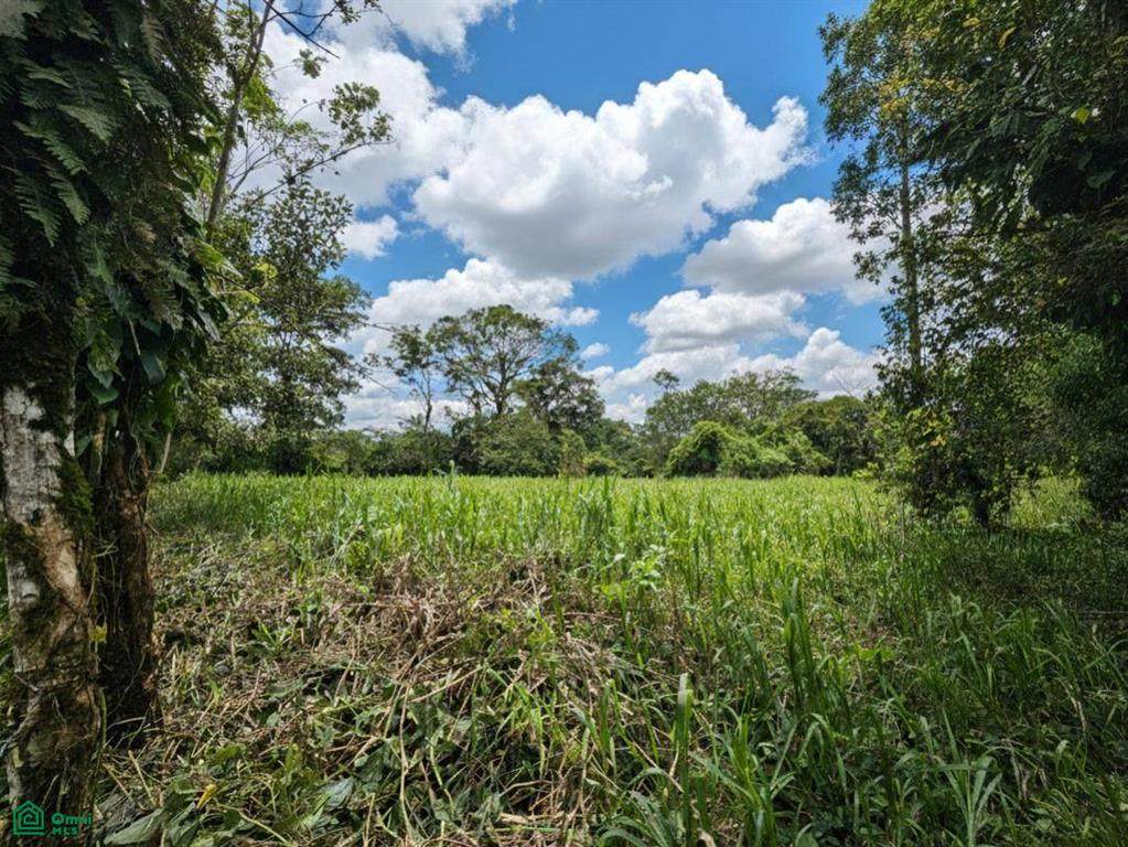  Calle El Poder - Photo 1