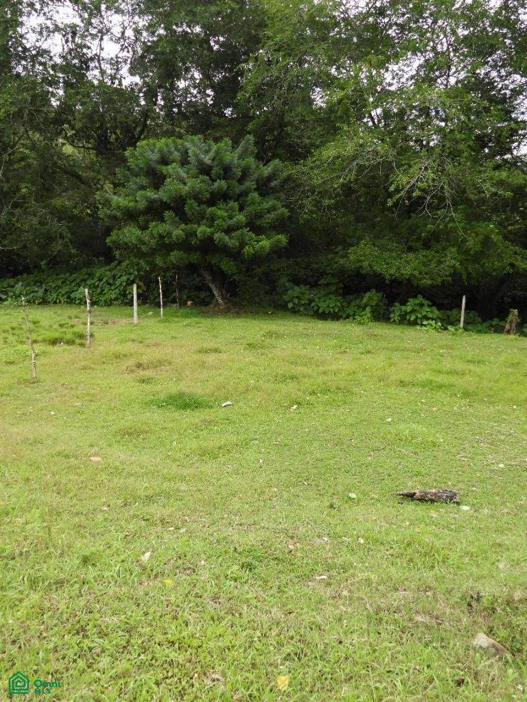 https://bt-photos.global.ssl.fastly.net/omni/orig_boomver_2_CR251105290-2.jpg
