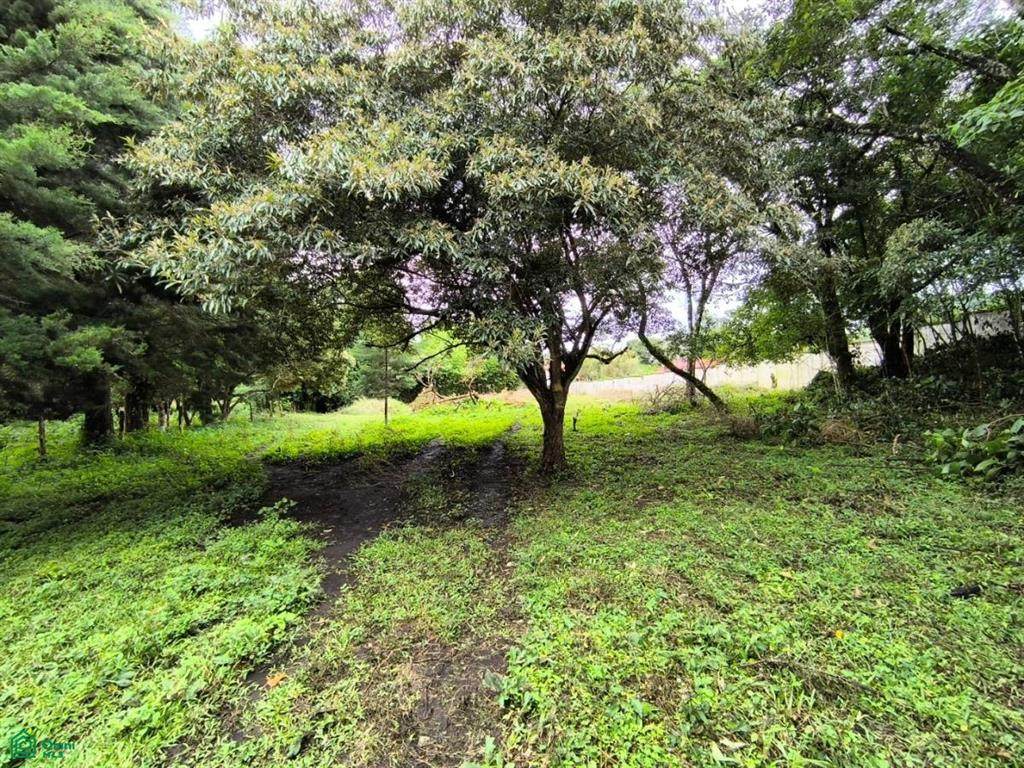 1048244, -84.091813 Calle El Tajo - Photo 1