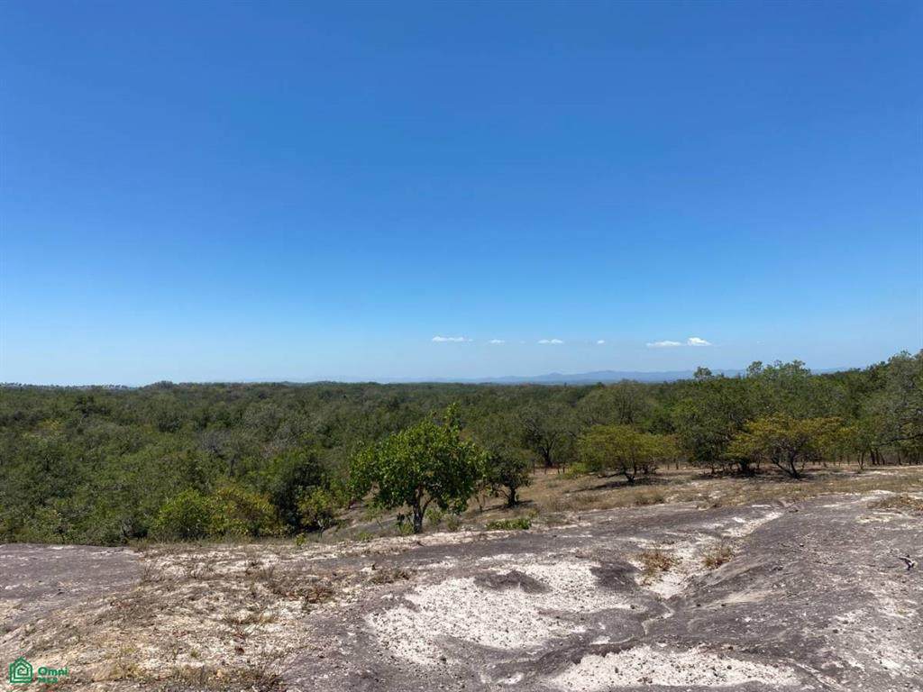  Curubande 48 Acres - Photo 1