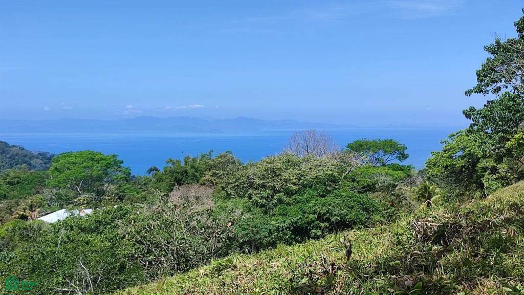  Bijagual Carara Turrubares - Photo 1