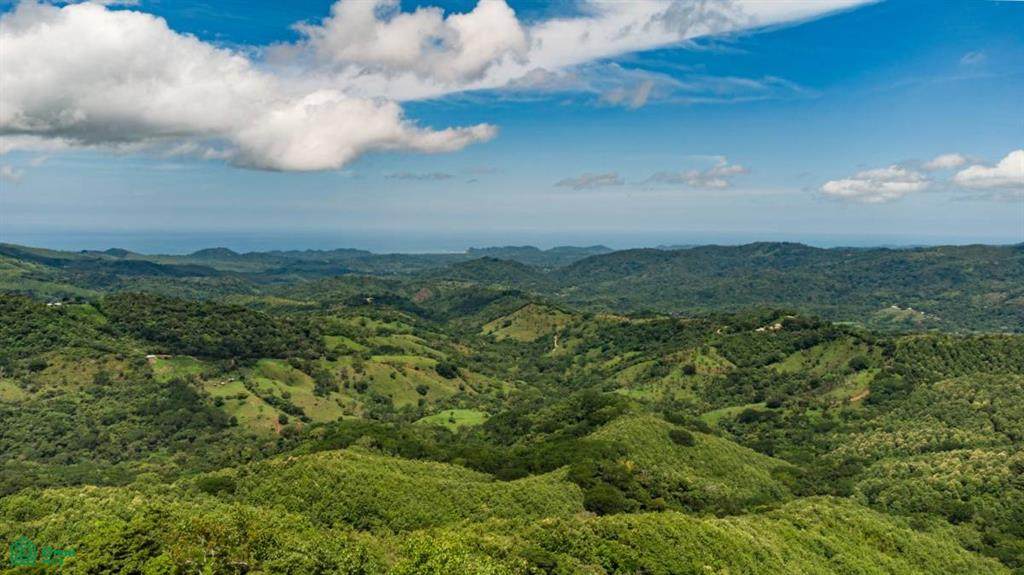  16 Ha Ocean View Finca, Maquenco - Photo 1