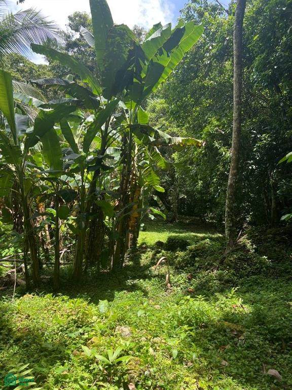 2 Escuela Comadre - Photo 1