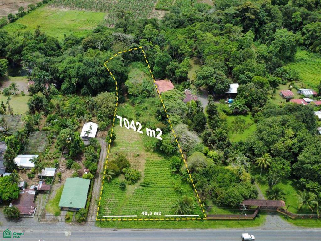 248 San Antonio - Photo 1