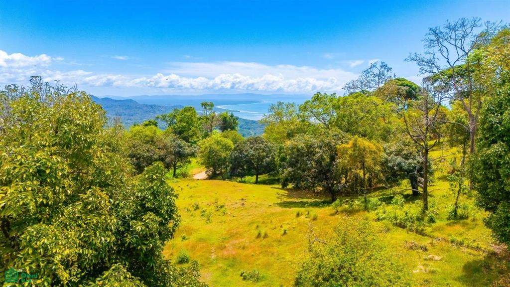  Ballena Views, Cinco Ventanas - Photo 1