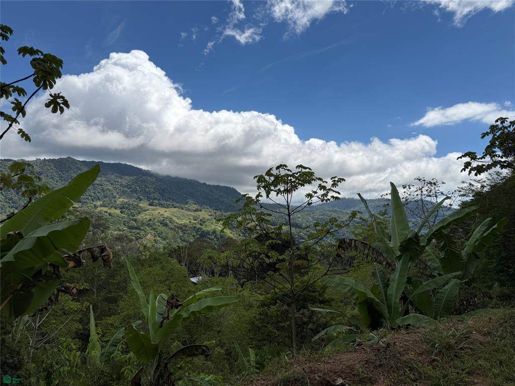  Coffee & Fruit Farm in San Luis De San Isidro - Photo 1