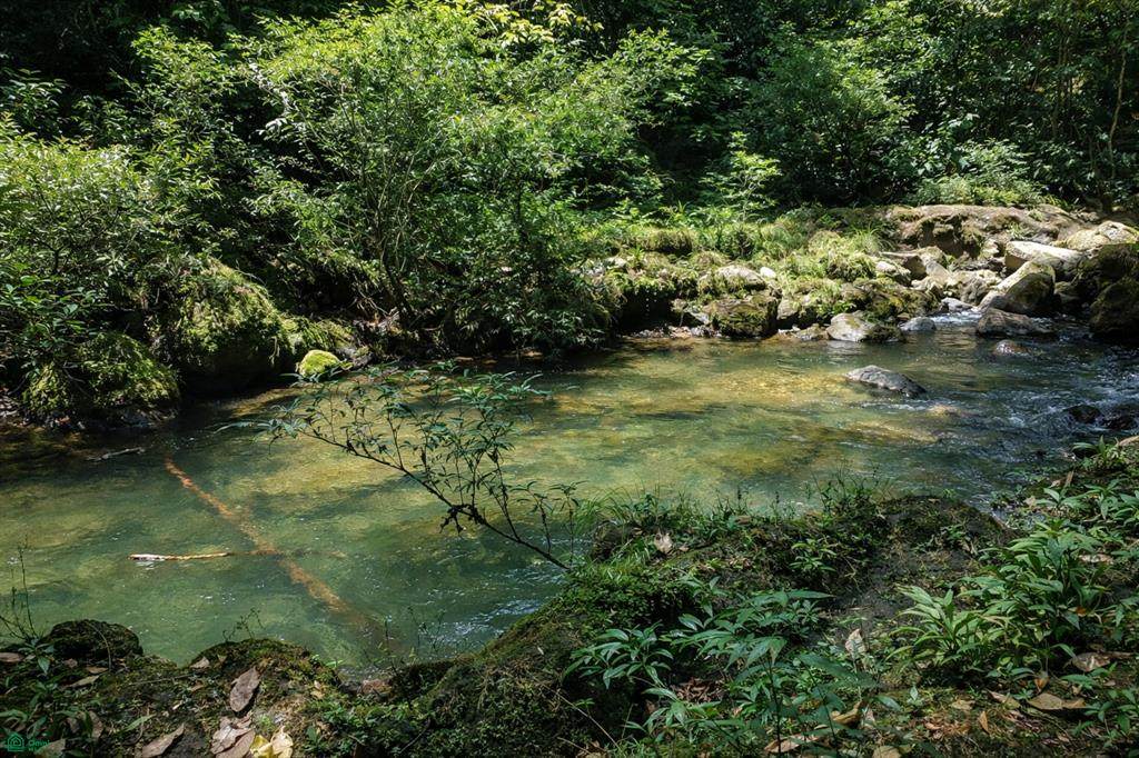  Calle Publica - Photo 1