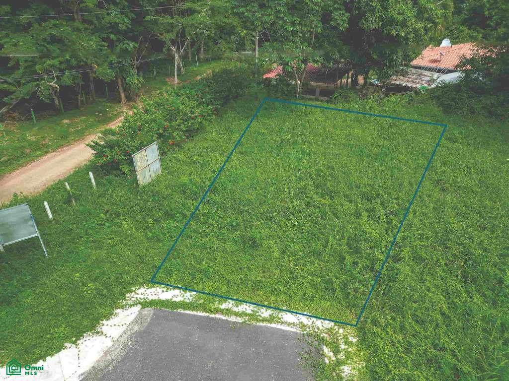 Mango Walk Lot #11 Gated Forest Lot - Photo 1