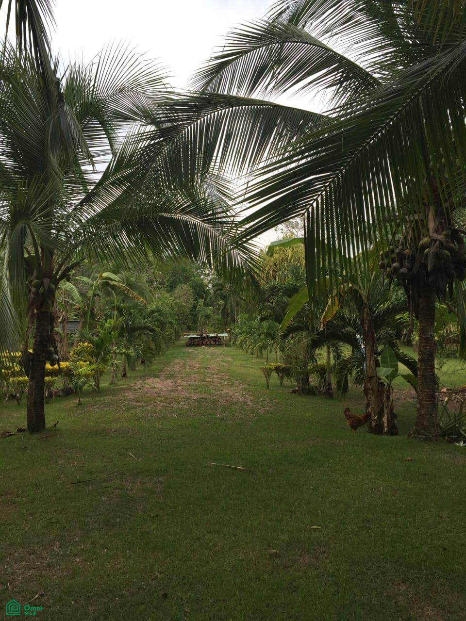 https://bt-photos.global.ssl.fastly.net/omni/orig_boomver_2_CR26008830M-2.jpg