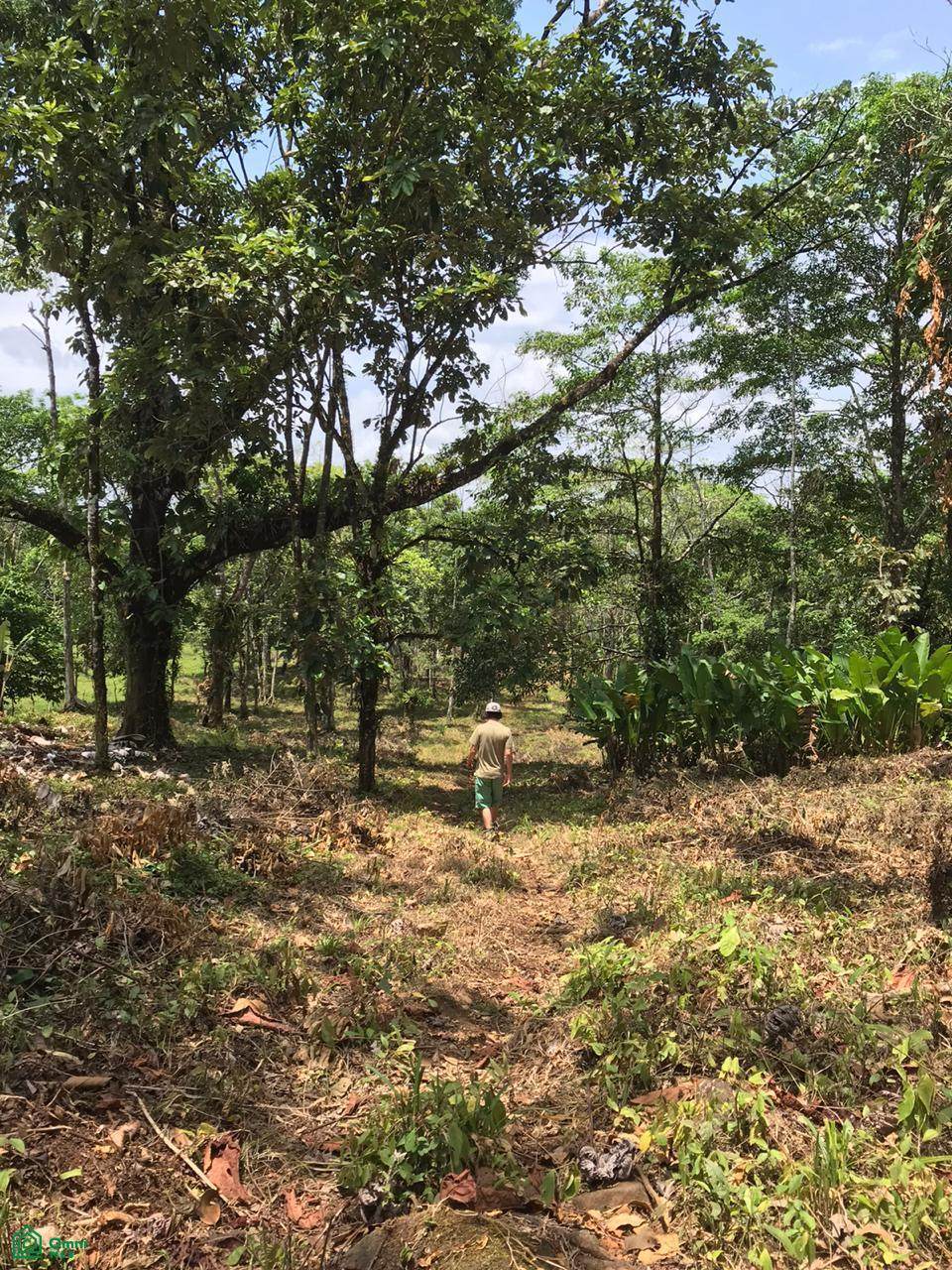  Dos RíOs - Photo 1