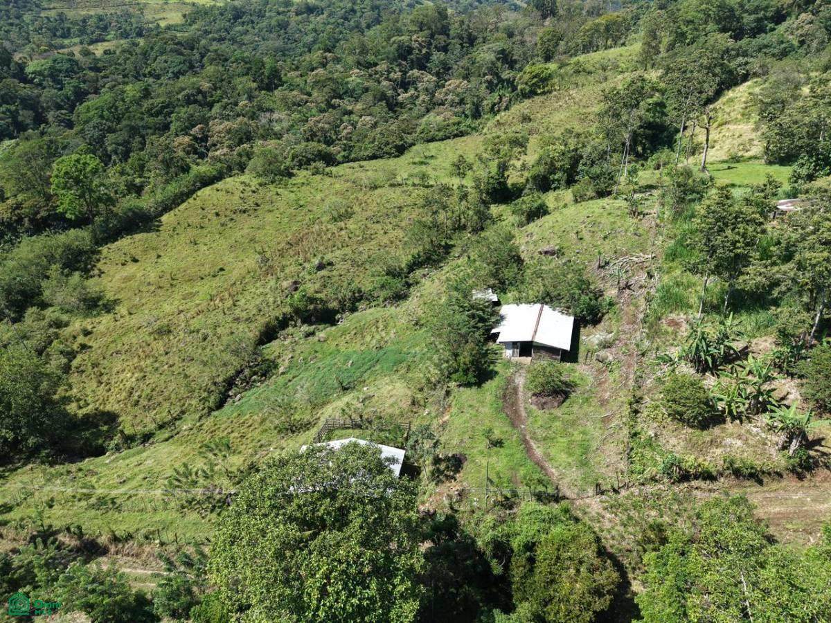  Guayabo - Photo 1