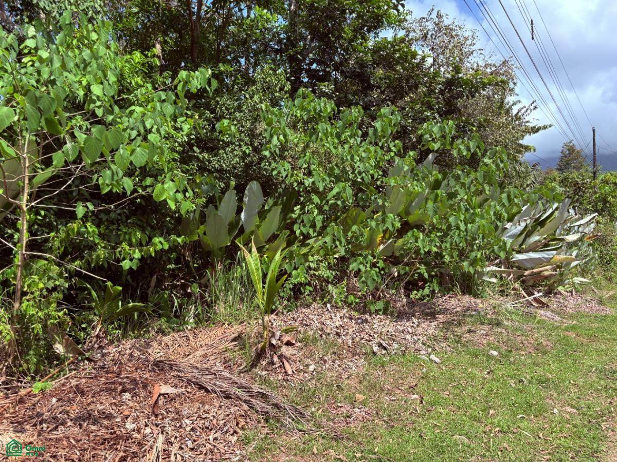 https://bt-photos.global.ssl.fastly.net/omni/orig_boomver_2_CR261112882-2.jpg
