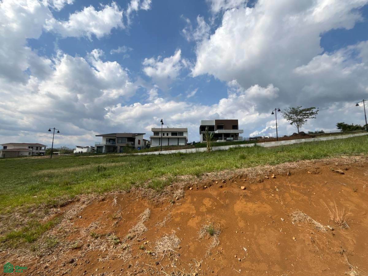 https://bt-photos.global.ssl.fastly.net/omni/orig_boomver_3_CR261132238-2.jpg