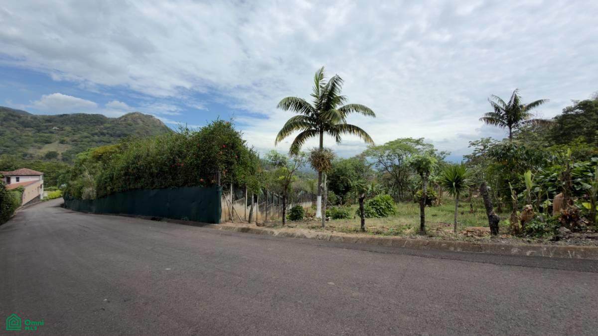  Hacienda Salitral - Photo 1